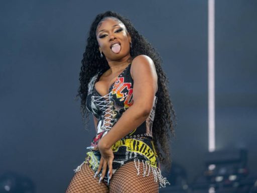 Megan Thee Stallion Takes Fan Selfies To Whole Other Level With Viral Twerk Video